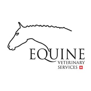 EQUINE - maneggi - team equitazione - cavalli
